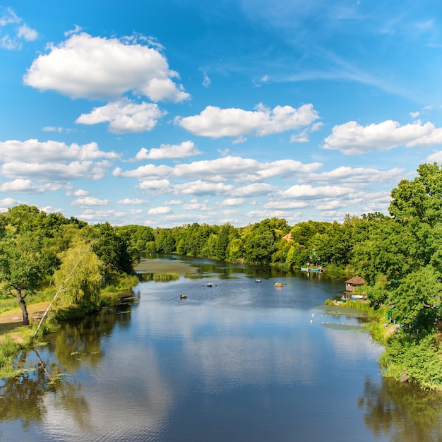 Bos aan de rivier met blauwe lucht en landschap van wolken