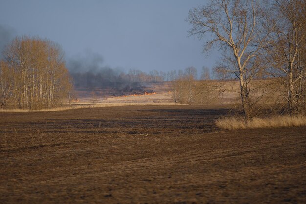 Bos- en steppebrand droog grasbrandend en rook ongecontroleerd vuur