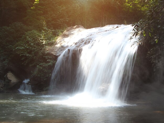 Bos hete lente waterval