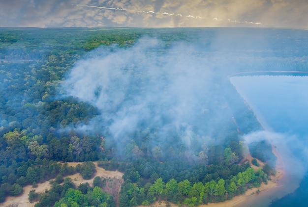 Bos in Californië met panoramische luchtfoto bosbranden branden bomen rook vuur droog gras