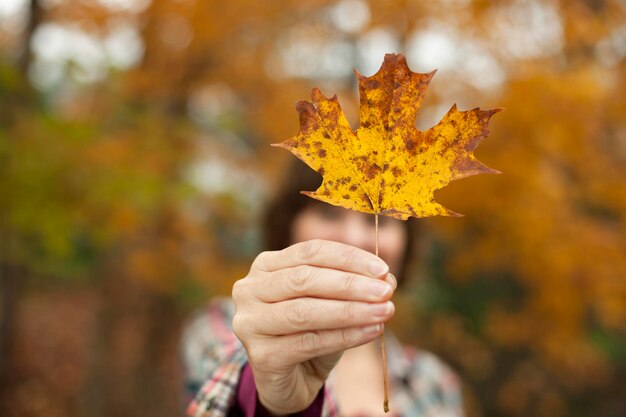 Bos in de herfst Een vrouw met een herfstblad en een esdoornblad in haar hand