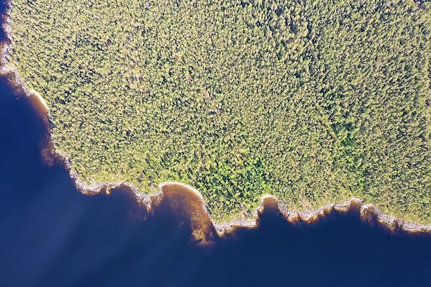 bos meer bovenaanzicht, landschap natuur uitzicht bos, achtergrond