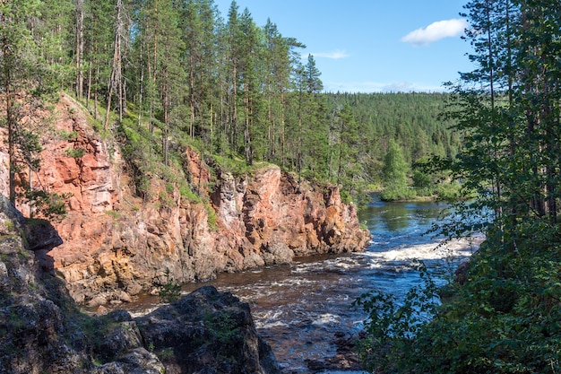 Bos op de kliffen boven de stormachtige rivier, Finland. Oulanka Nationaal Park