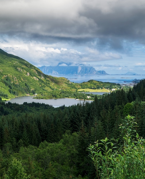 Bos op de voorgrond, blauwe bergen in de verte, Lofoten-archipel, Noorwegen