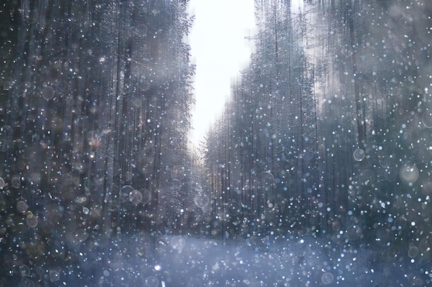 bos sneeuw wazig achtergrond / winterlandschap besneeuwde bossen, bomen en takken bij winterweer