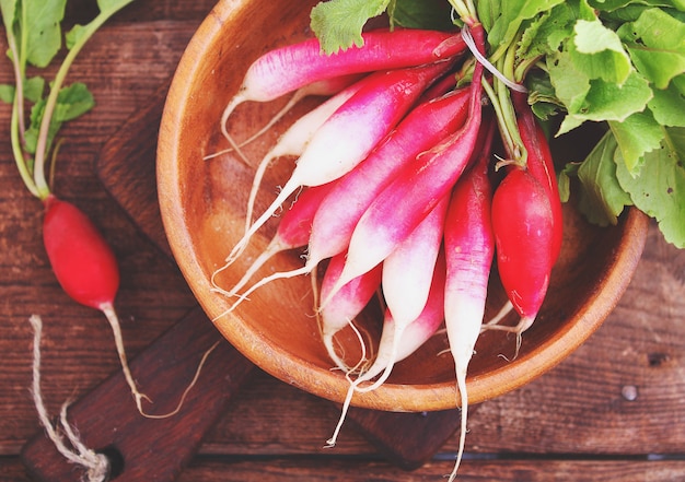 Bos van een rode tuinradijs met groene bladeren