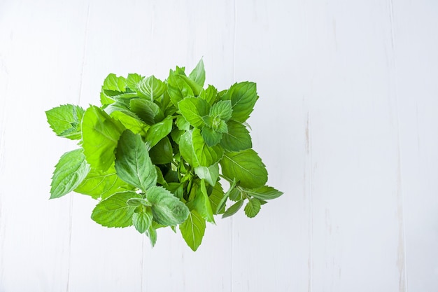 Bos van groene basilicum en munt in een glazen pot