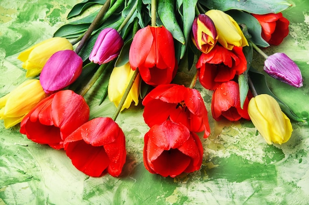 Bos van mooie de tulpenbloem van de lente