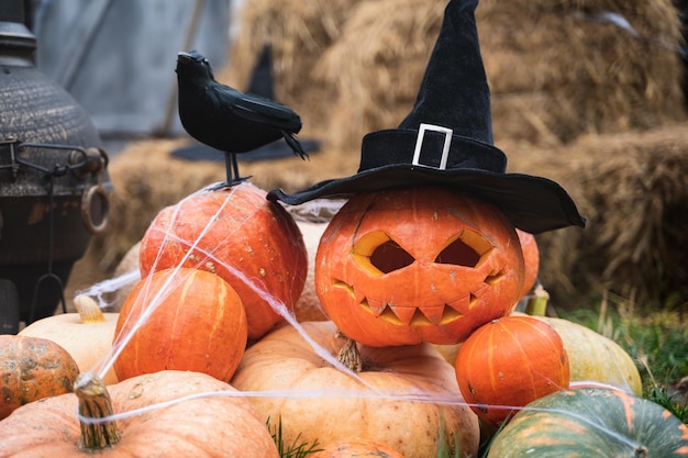 Bos van oranje pompoenen voor halloween grote zwarte raaf tovenaarshoed jackolantern met enge gesneden ogenmondHooiberg in schuurStraatdecoratieentertainment voor kinderen horror