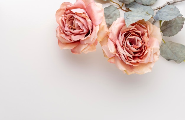 Bos van roze rozen op pastel achtergrond. Kaartconcept, pastelkleuren, close-up afbeelding, kopieer ruimte.