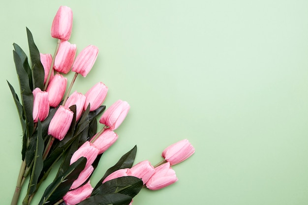 Bos van tulpenbloemen op groen