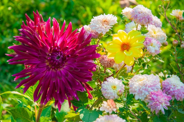 Foto bos van verschillende bloem