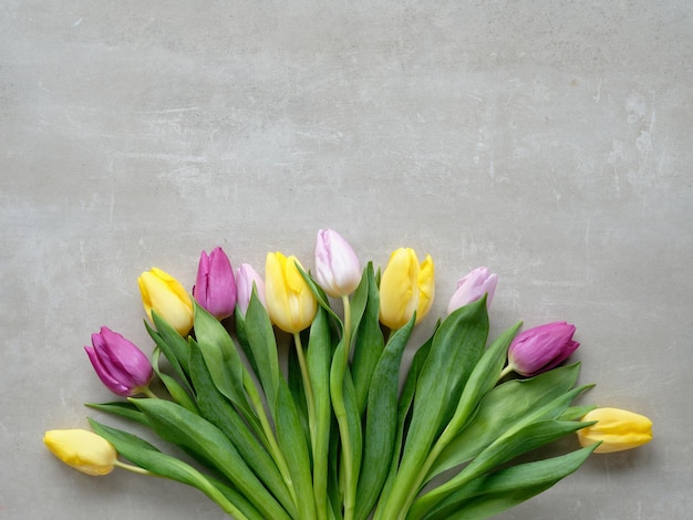 Bos verse lentetulpen in verschillende kleuren Magenta geel en roze tulpen