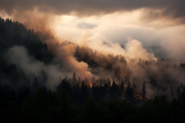 bosbrand bosbrand verslindt bosbrand verspreidt zich wild