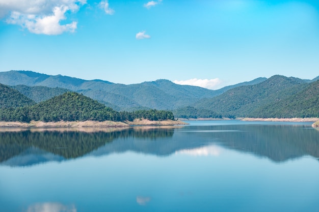 Boseiland in waterreservoirmeer van de Dam van Maekuang Udomthara in Chiang Mai met mistheuvel op achtergrond, mooie beroemde landschapsaantrekkelijkheid voor toerist in Thailand