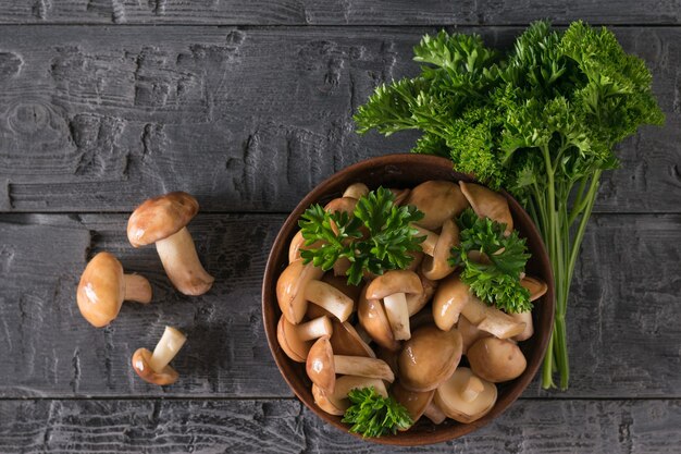 Bosje peterselie naast een kom gevuld met verse bospaddestoelen. Natuurlijke vegetarische keuken. Het uitzicht vanaf de top.