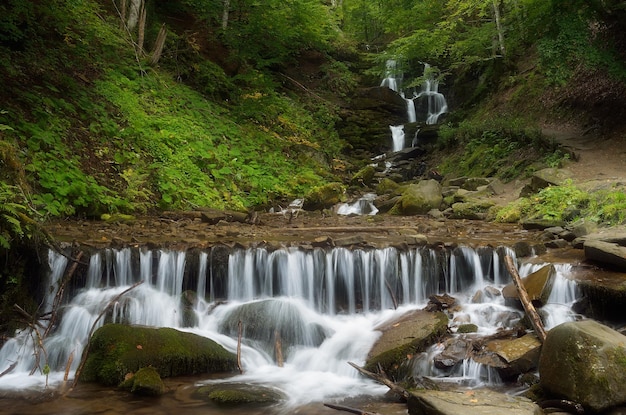 Boslandschap met prachtige waterval op een bergrivier. Cascades koude stroom. Beuken bos. Karpaten, Oekraïne, Europa