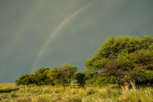 Boslandschap met regenboog Pampas Argentinië