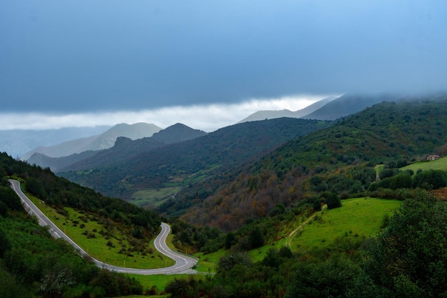 Boslandschap van Teverga in Asturië - Spanje