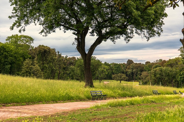 Bospad in Capodimonte Park, Napels, Italië