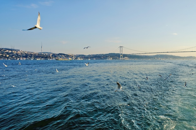 Bosphorus between Europe and Asia Minor. Together with the Dardanelles connects the Black Sea with the Aegean, which is part of the Mediterranean.