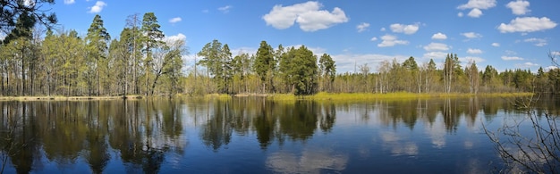 Bosreservaat rivier in centraal Rusland