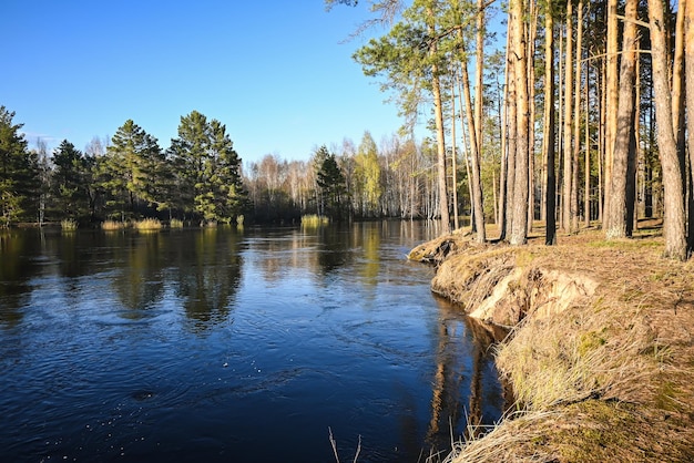 Bosrivier in mei