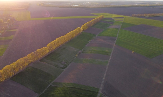 Bosstrook tussen velden en kleine percelen met gewassen in de ravijnavond boven het dorp