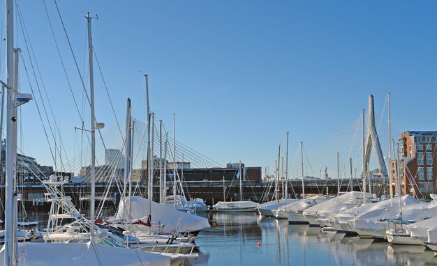 Boston harbour in sunny ambiance