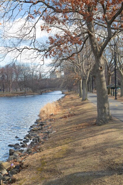 Boston MA USA 28 januari 2017 Mooie ochtend op de Charles River Esplanade van Boston