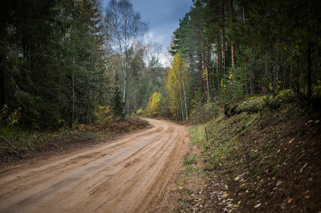 Bosweg die door de herfstbos gaan