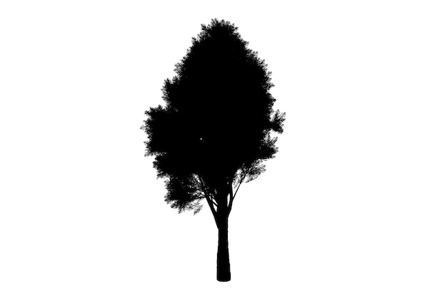 Botanic tree silhouette artwork biology wood shape design
