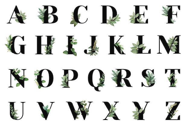 botanical alphabet font png collection abc