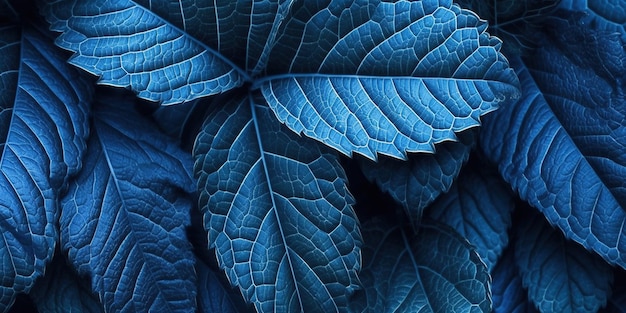 Botanical background of macro leaf texture patterns in deep dark pacific blue color wide banner size