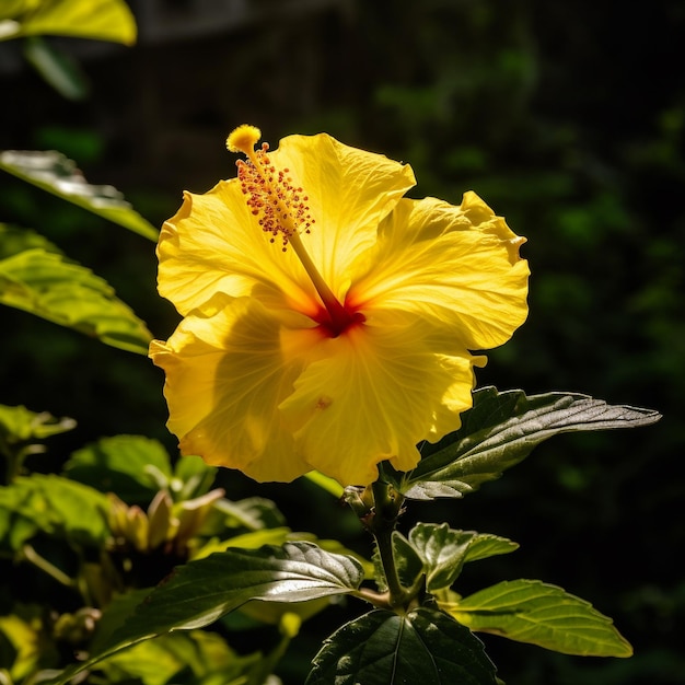 Photo botanical bliss captivating floral landscapes and sunset scenes