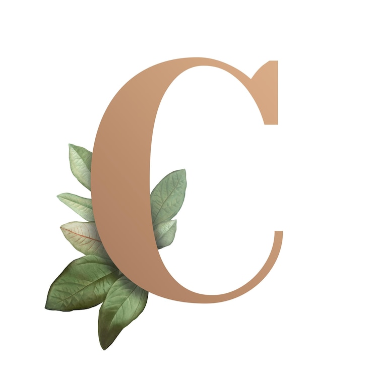 Photo 식물성 대문자 c 투명 png