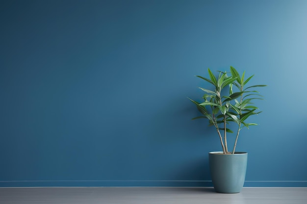 Ботаническая элегантность домашнего растения на голубой стене