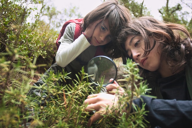 Foto esplorazione botanica bambini che esaminano piante di rosmarino con una lente d'ingrandimento nella foresta