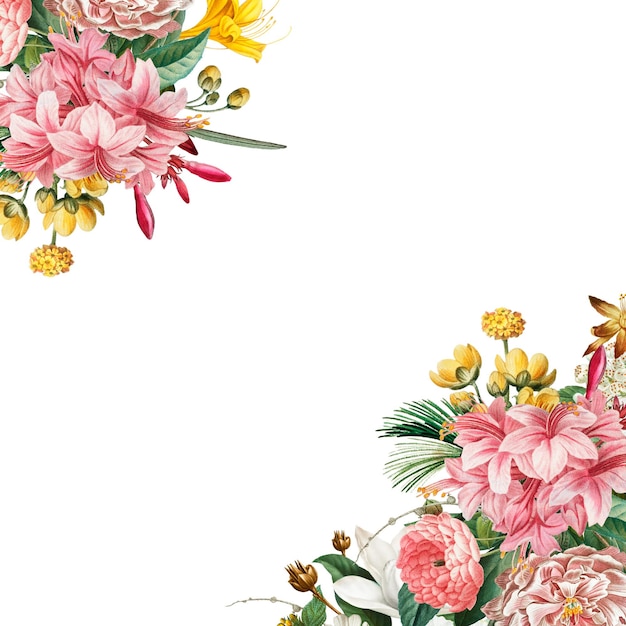Botanical frame design transparent png