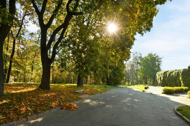 Botanical garden in the city of Kyiv