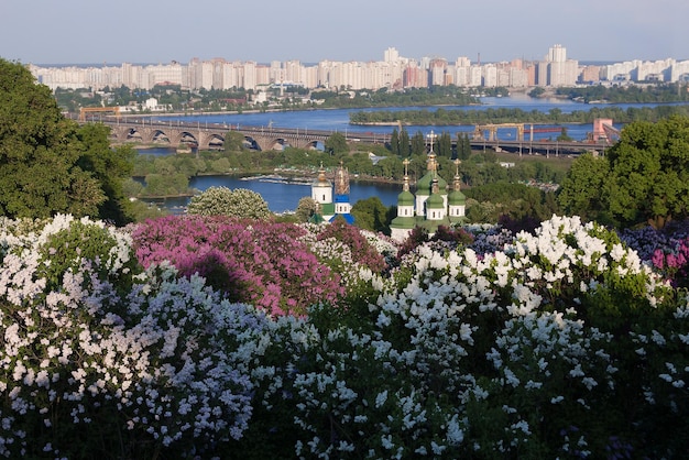 Foto giardino botanico di kiev ucraina