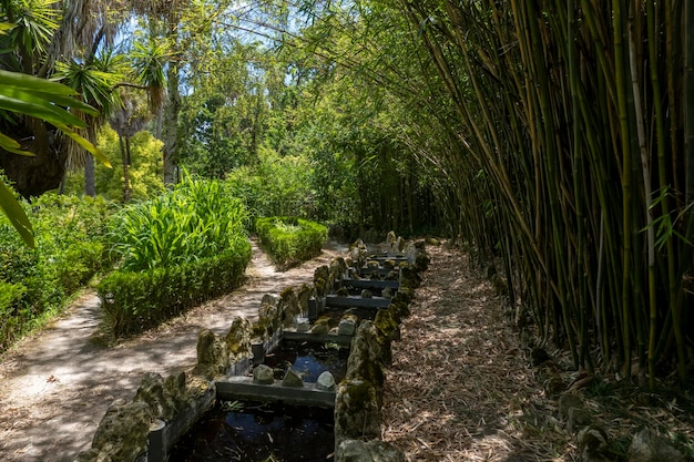 Botanical garden of Lisbon