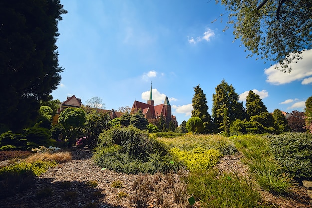 ポーランド、ヴロツワフの大学の植物園。