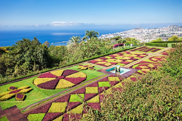 Photo botanical gardens madeira