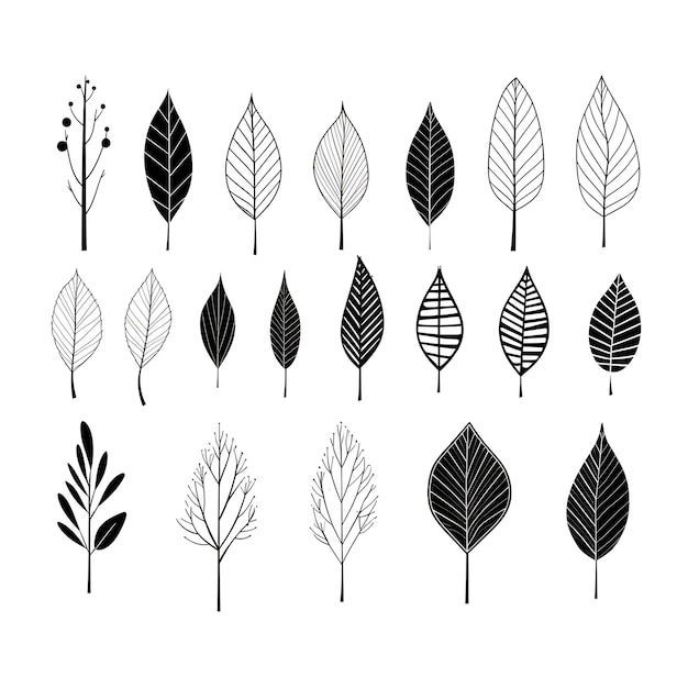 Botanical grayscale celebrating the subtleties of black and white foliage