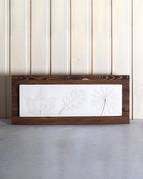 Botanical plaster maple, lupine, oak leaf of sculptural 3d images on wooden shelf in Scandinavian style interior.