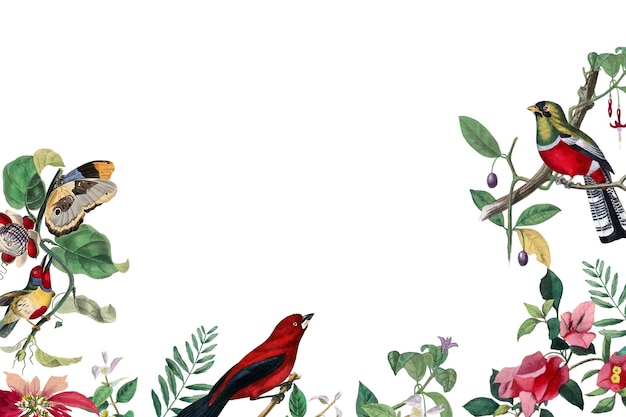 botanical png frame colorful painting transparent background more inspired by our own original copy of le jardin des plantes 1842 by paul gervais