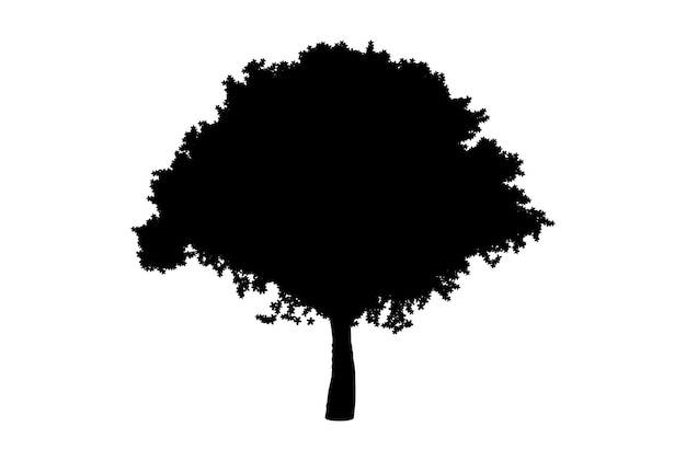 Botanisch ontwerp van de het kunstwerkbiologie van het boomsilhouet het houten vorm