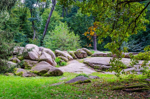 Botanisch park met een verscheidenheid aan verschillende bomen