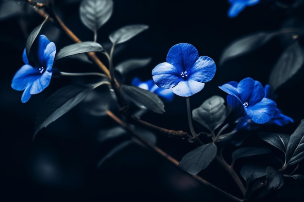 Botanische blauwe bloem kopieer ruimte mobiele behang